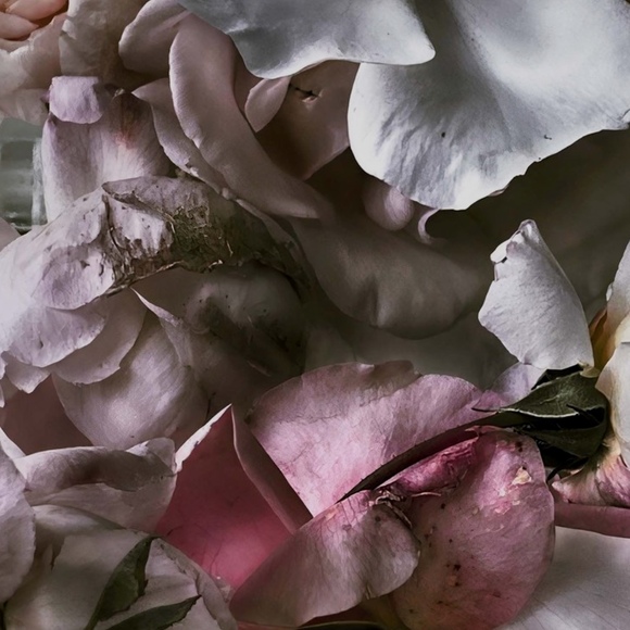 Meet your Posher, Summer - Picture 1 of 1